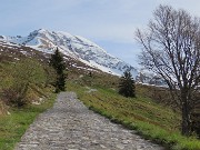 11Salgo su stradetta con vista in Arera